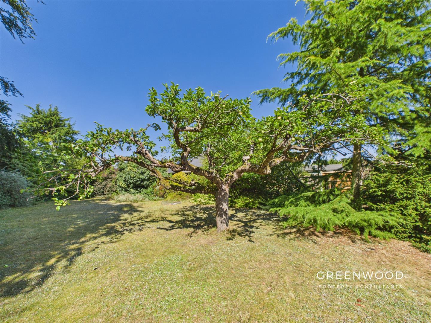 Property Image6e09eae9-920b-474e-8b2c-a5fecd06f241