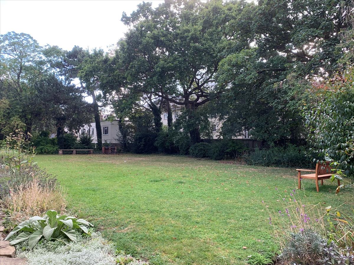 Property Image 6e3bbad2-5cba-4bc1-9a87-3c2654bf4bc0