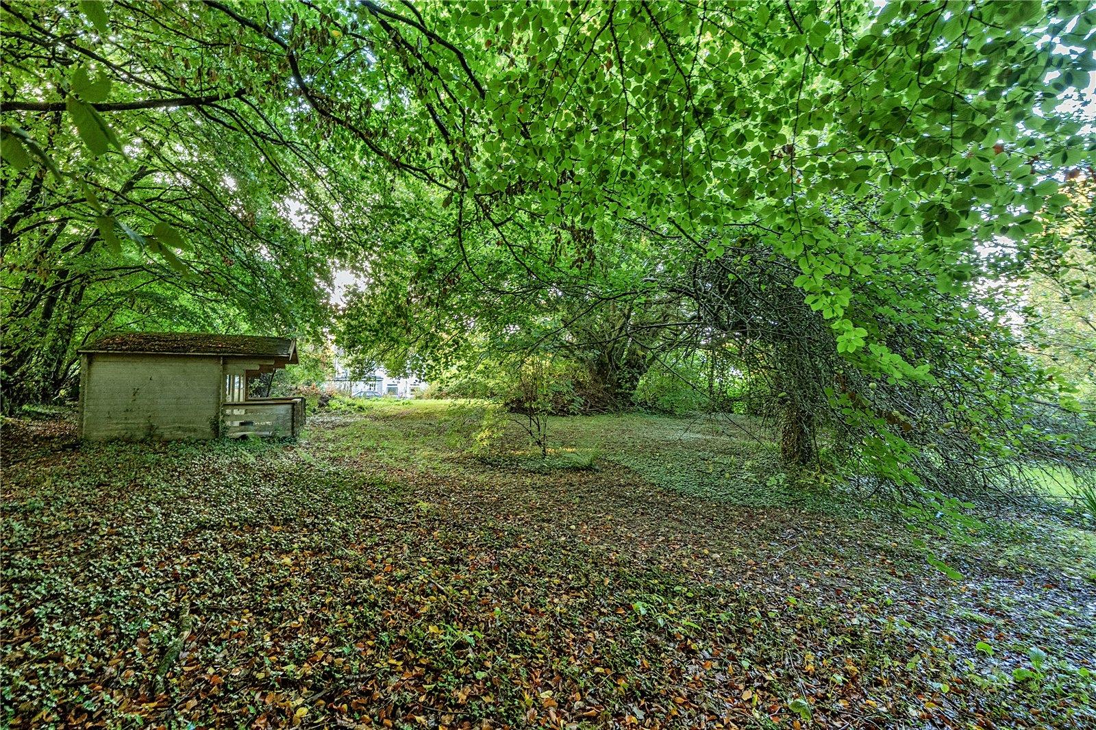 Property Image 6e7d1bee-8f2d-41b1-907f-9aa8070d13cb