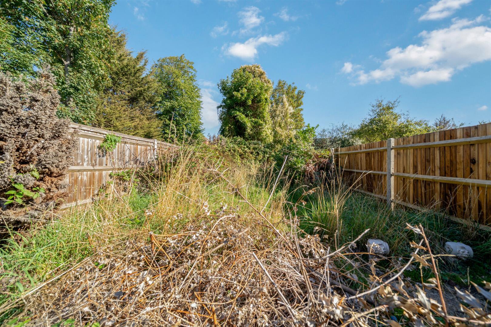 Property Image 6e82f589-08a1-4d3f-8933-10295f89d45f