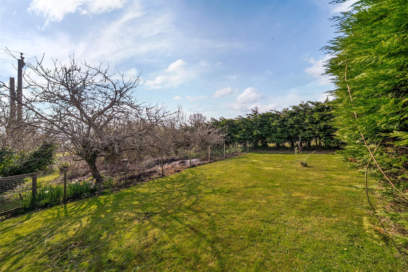 Property Image 6ea5d90b-0e60-4d8e-ac50-df7eebb5567b