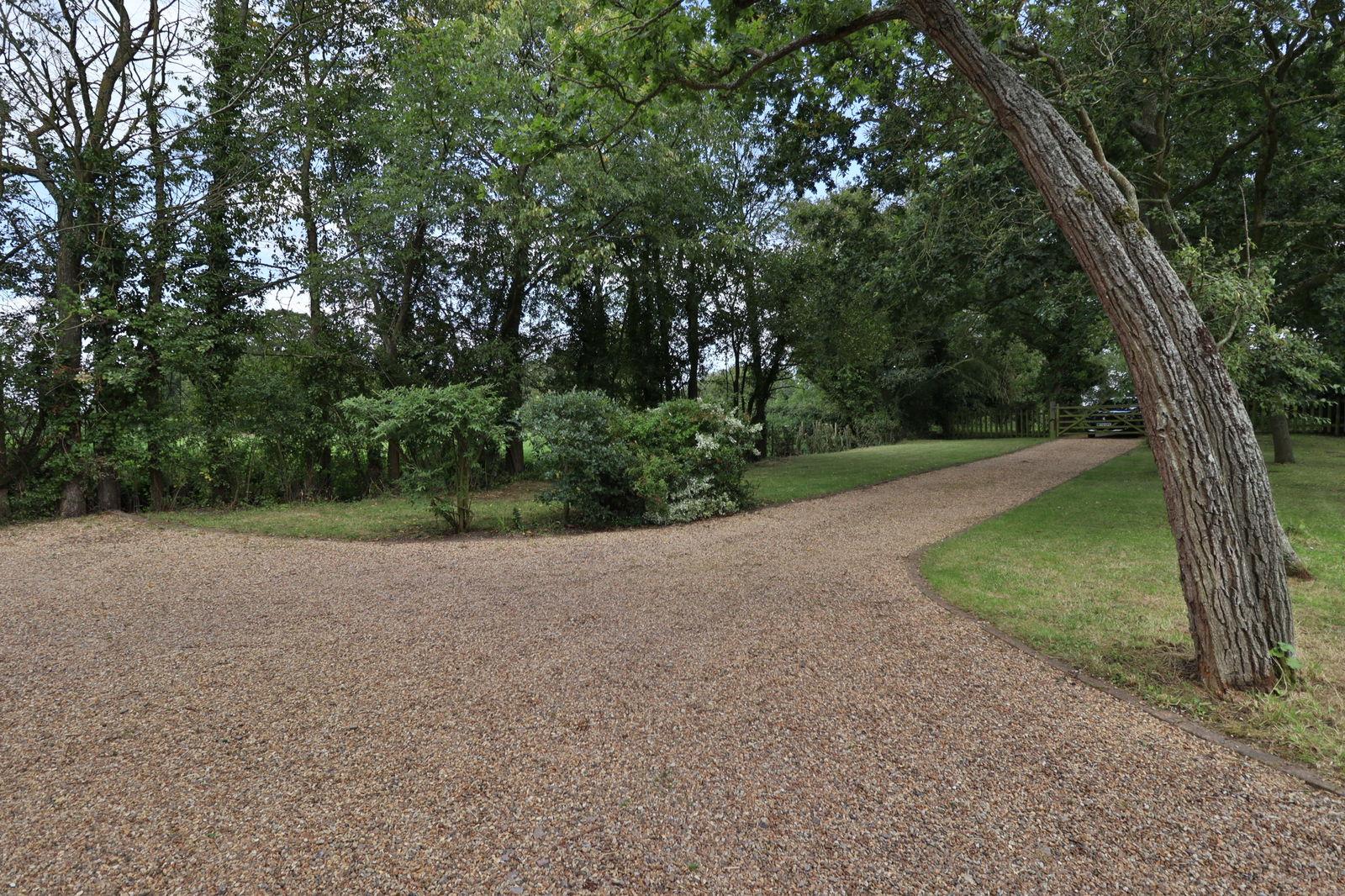 Image 14