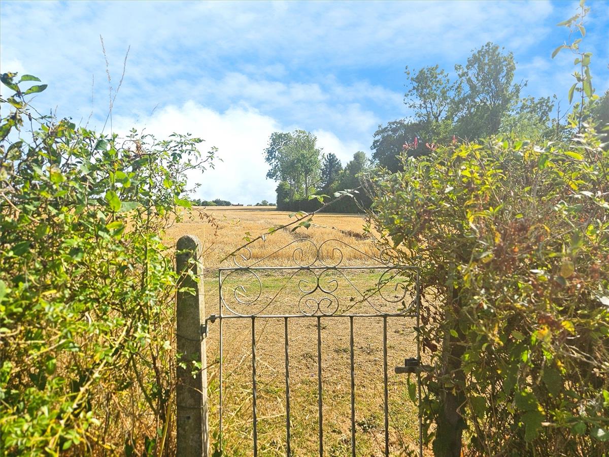 Property Image 6ef5738f-f81e-4e1d-86cb-68dd3cbaa674