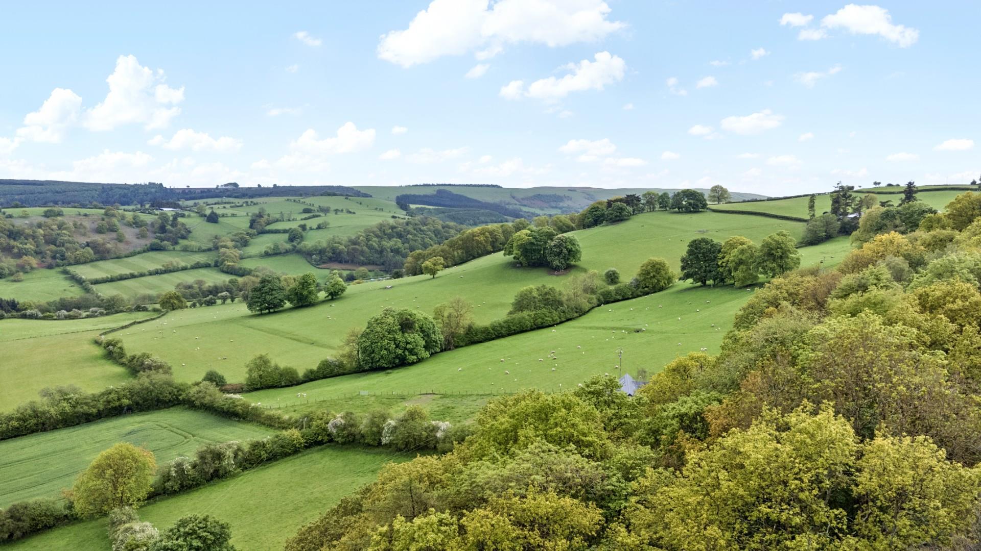Property Image 6f612500-3e9d-4936-ac3a-220c84c94536
