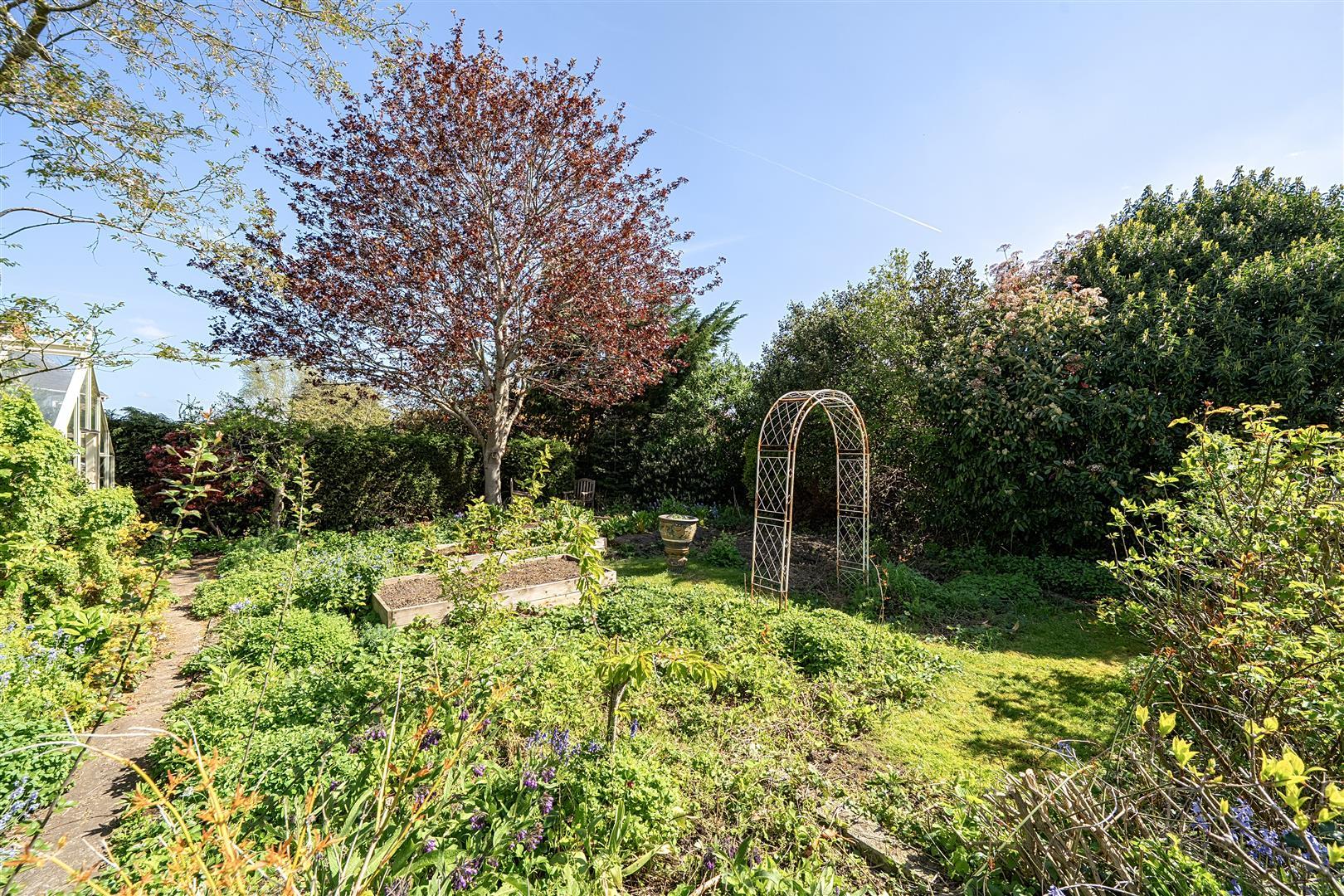 Property Image 6f65c086-16ce-4db5-b585-a0c844b0fddc