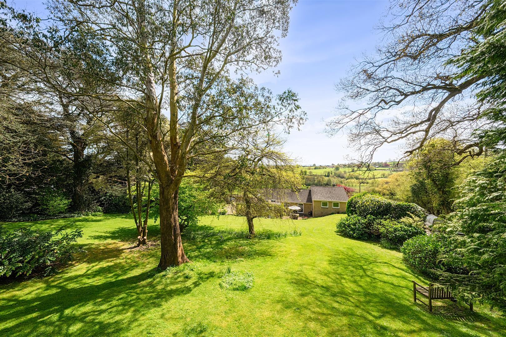 Property Image 6f833332-9d21-4dff-a551-4cd4d085b41d
