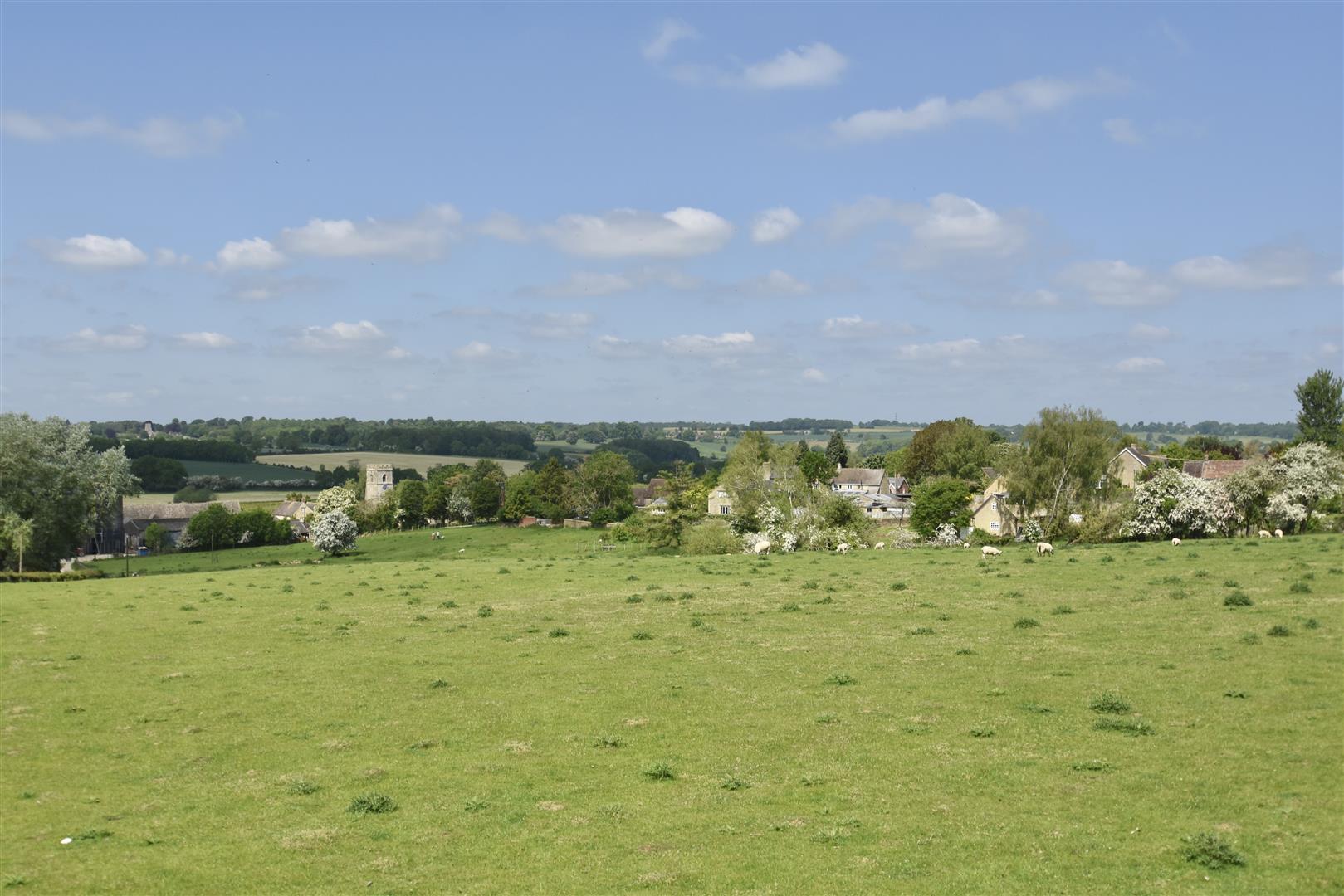 Property Image 6f8de01b-b435-401a-be4a-265123bd0579