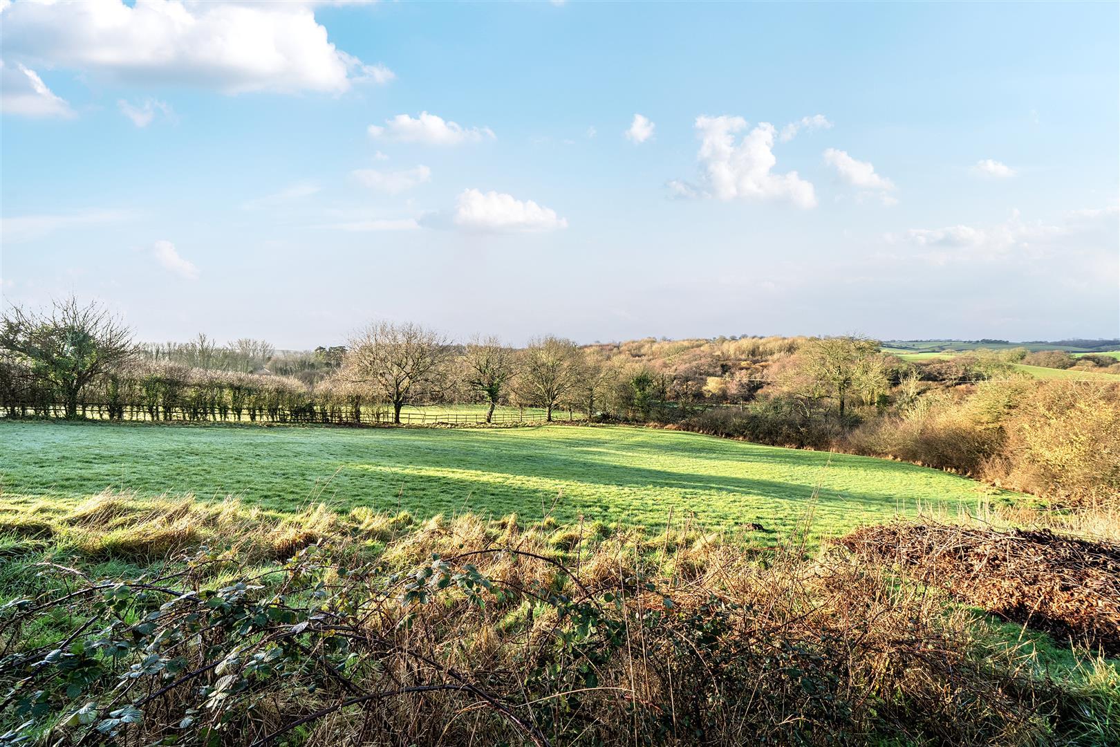 Property Image 6f9bb606-f2bd-4a26-819e-f882f58add58