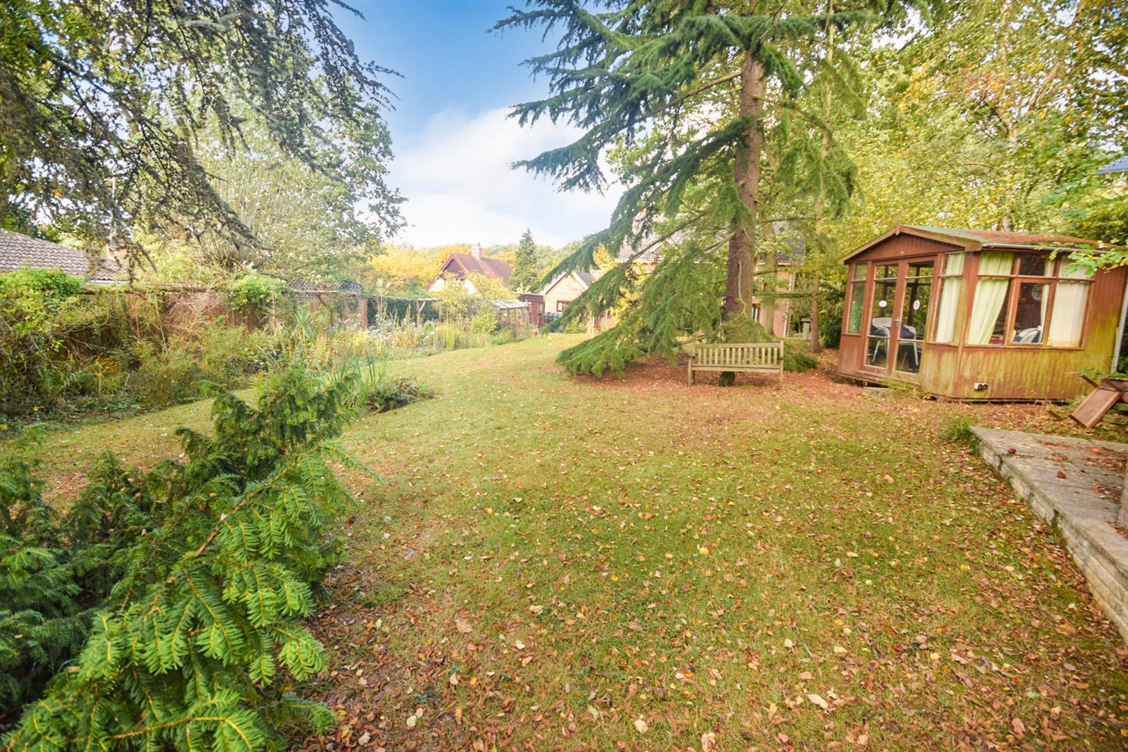 Property Image 6feda4eb-32dc-4a66-a7e5-997b5c2827e5