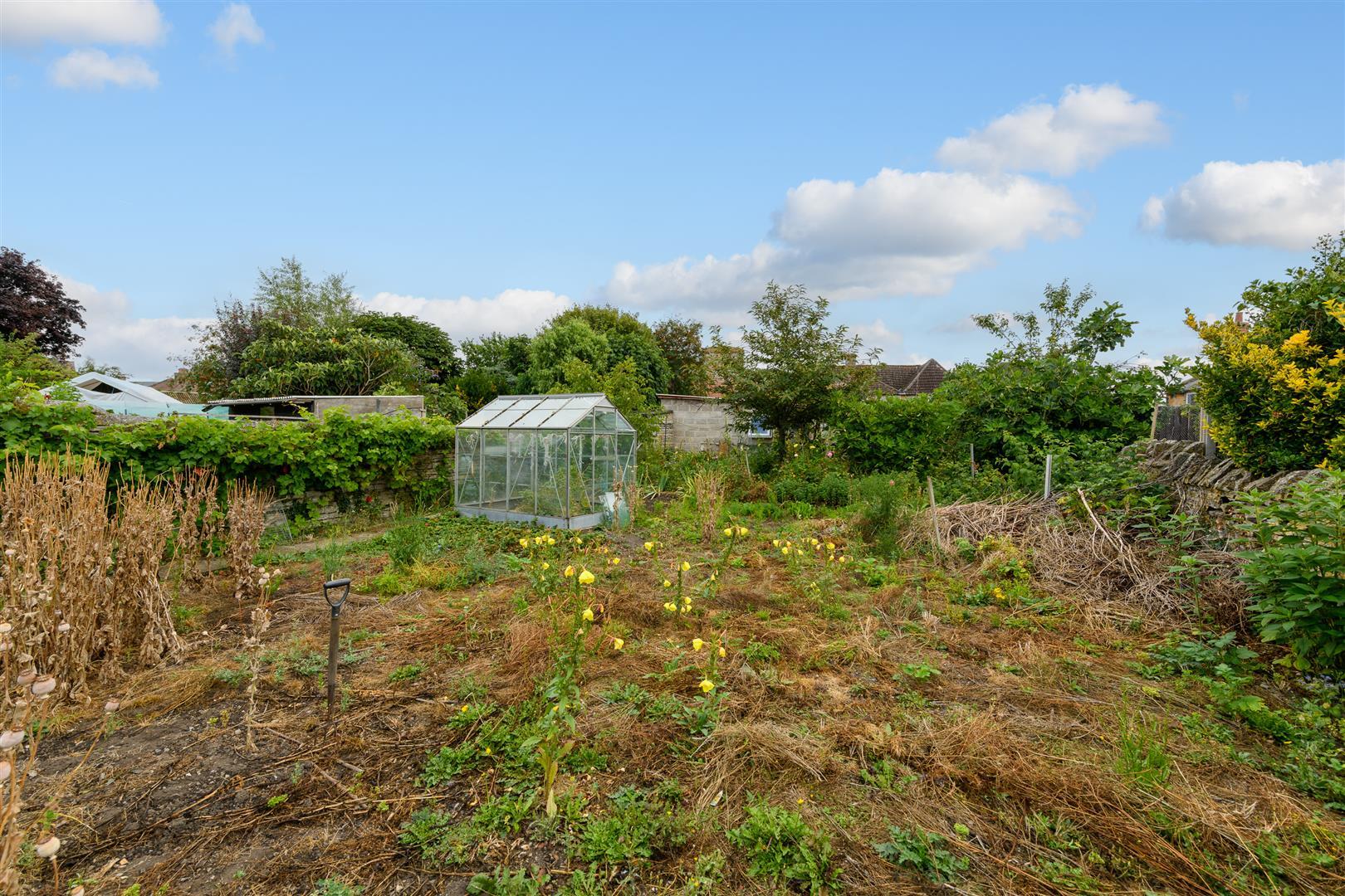 Property Image 6ff42da8-e248-4276-8f1c-e530e7cf5c49