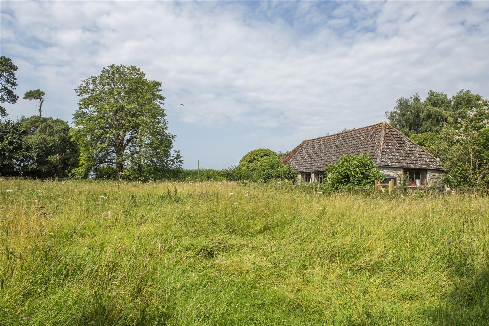 Image 16