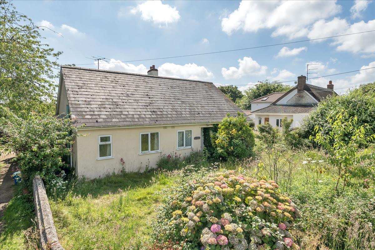 Property Image 702b1821-e61f-4dac-a453-fdbb79c0909d