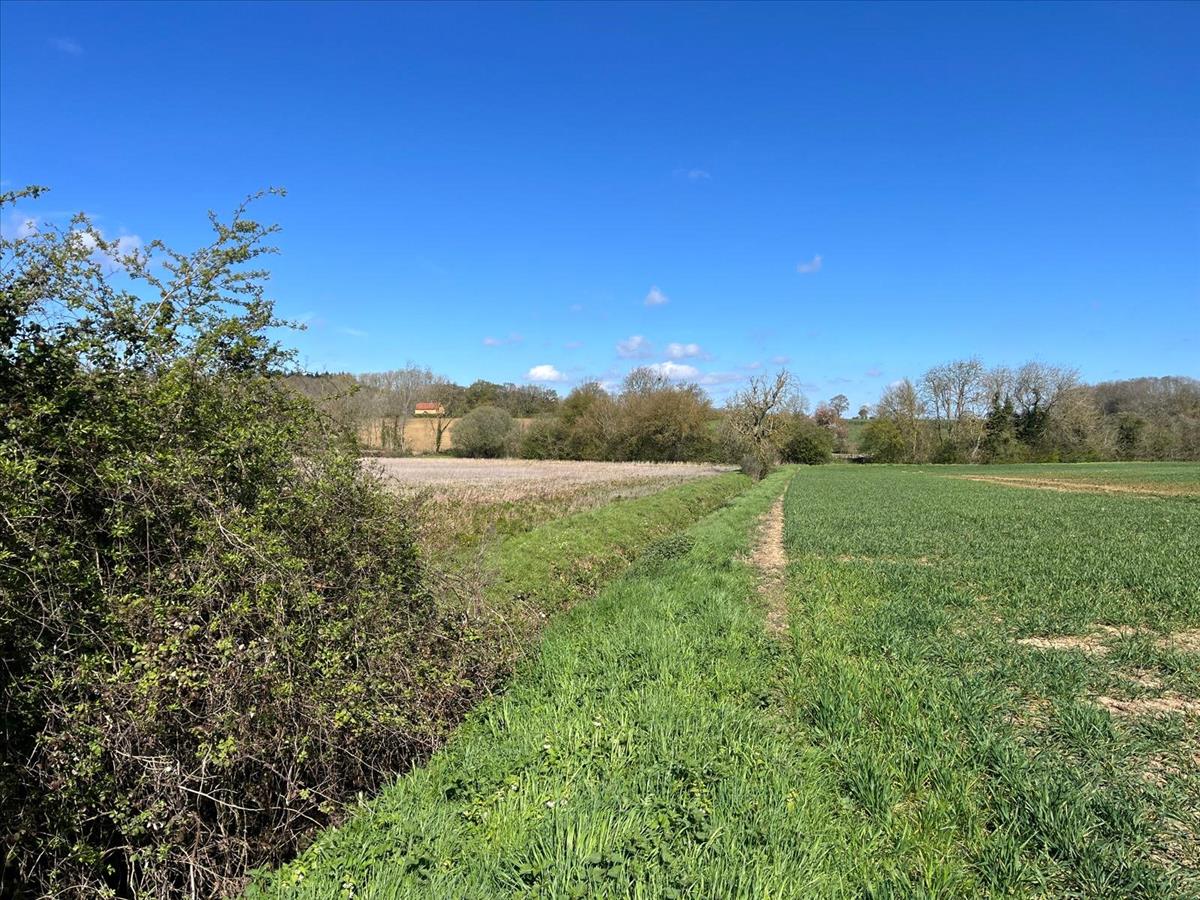 Property Image 70cb19ec-8489-43d2-b4fa-dcd7f04c25af