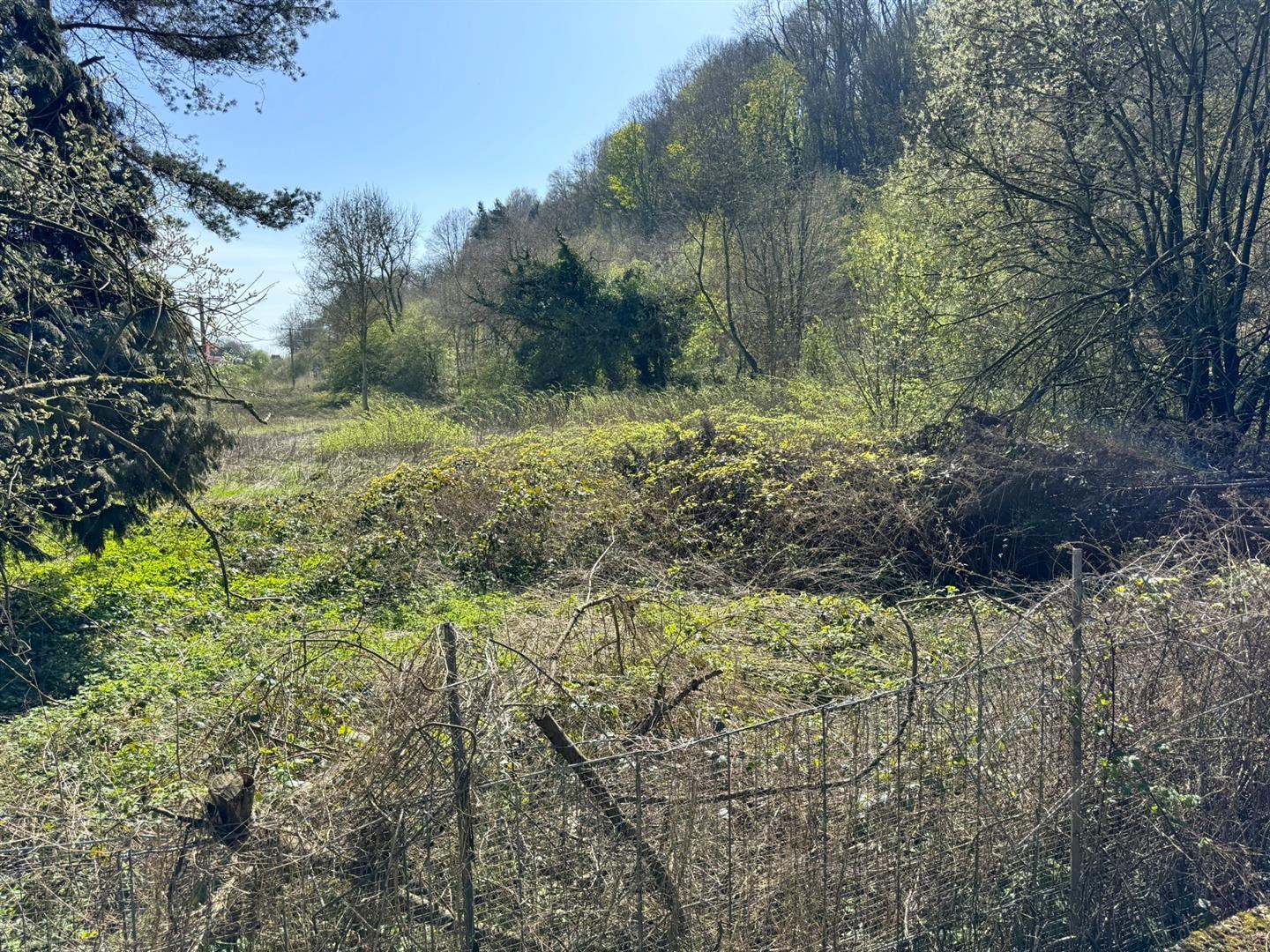 Image 14