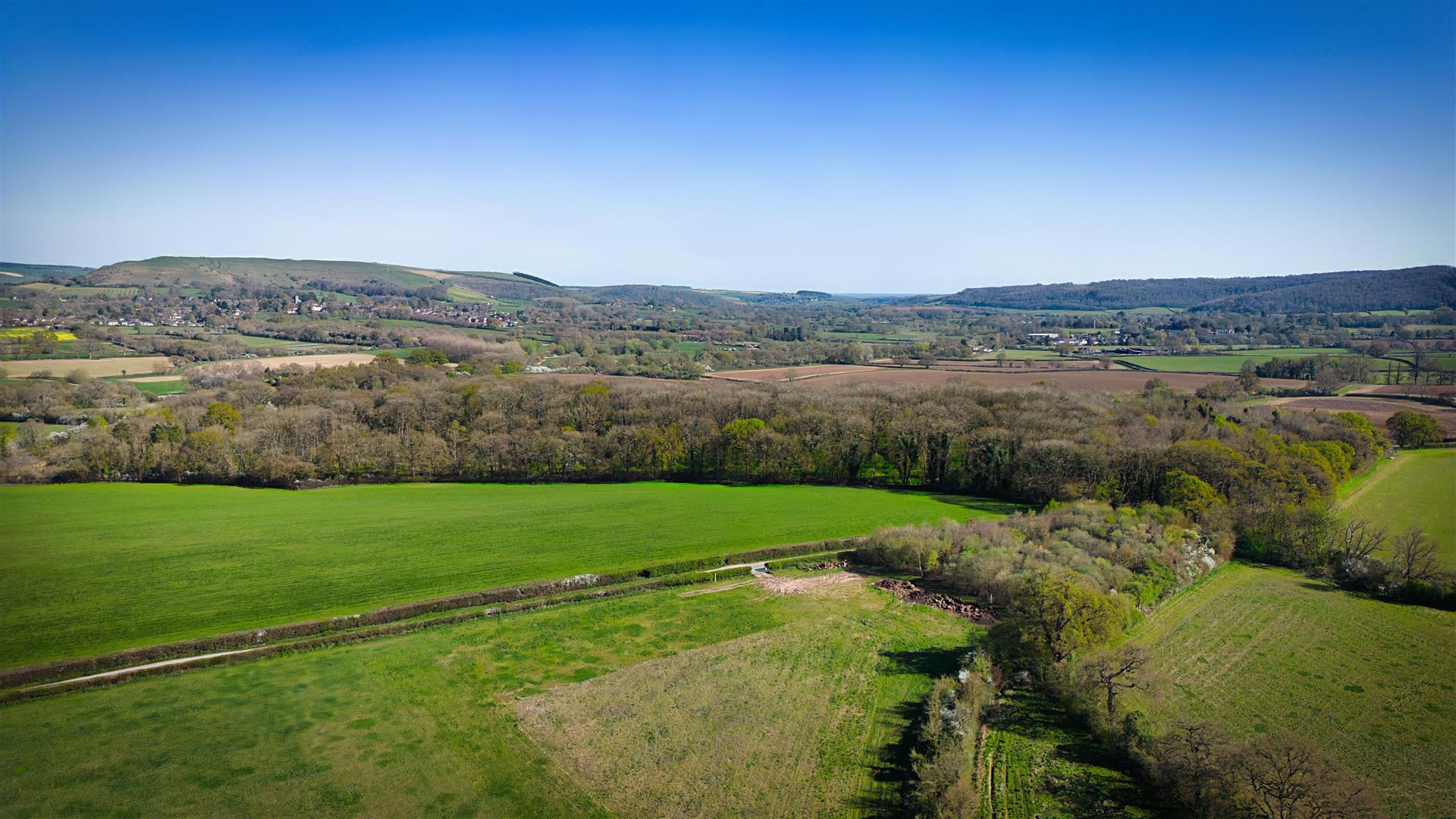 Property Image 70e5b375-8909-4b21-bc3b-32fe72ced04b