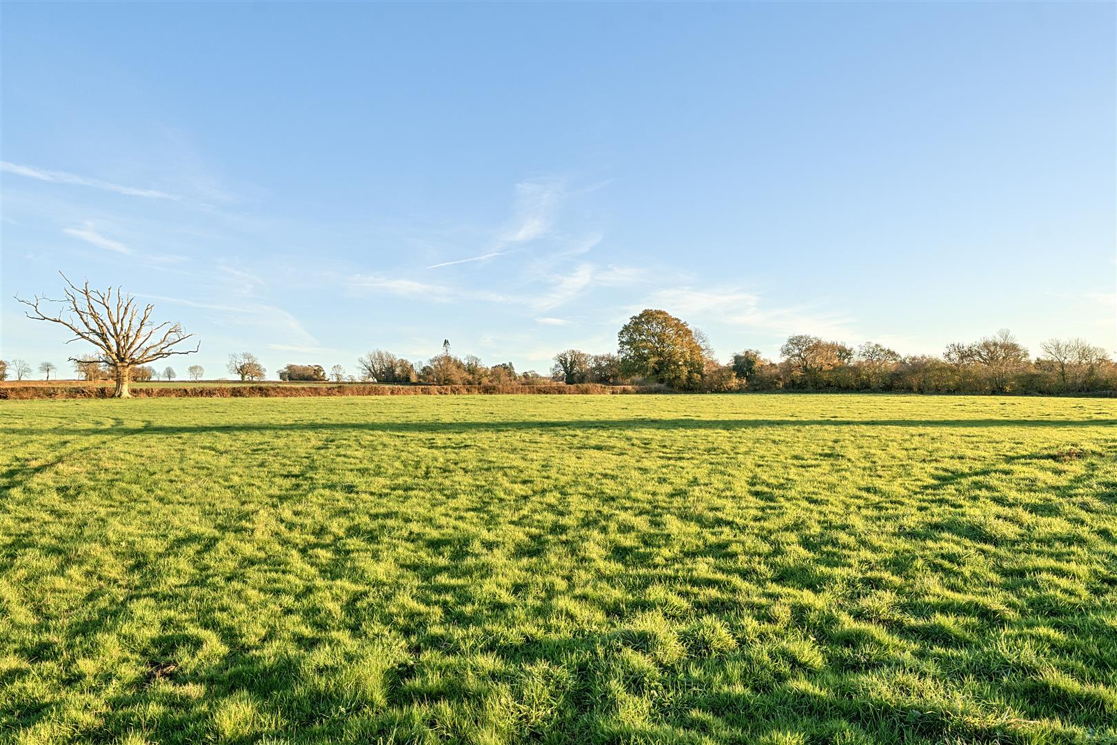 Property Image 70ea1928-604d-42f5-800c-da968a61f892