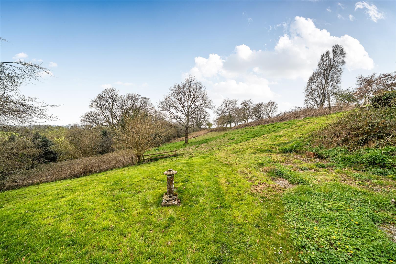 Property Image 70f0d099-5207-46ad-a692-5ef04ccb0c70