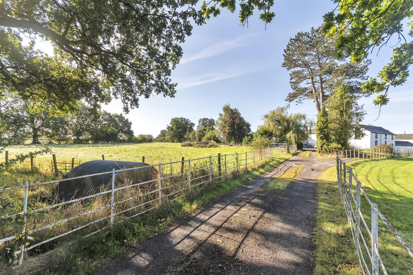 Property Image 70f7008e-0d81-4876-9303-4ab9a29bd643