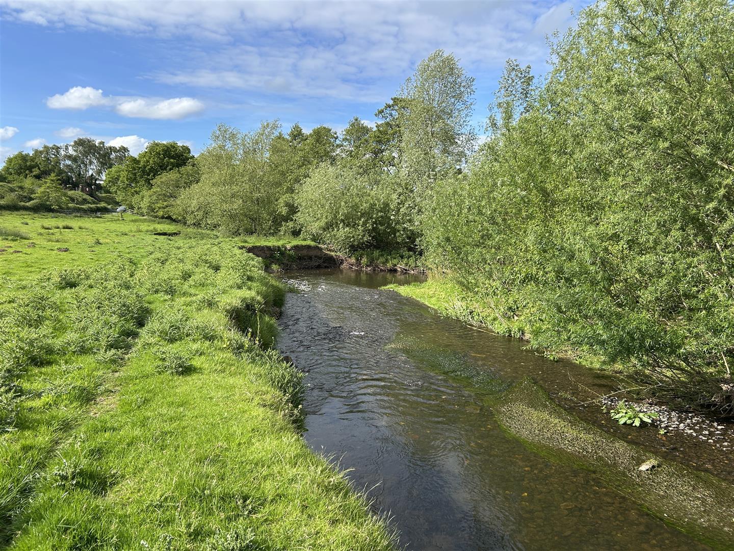 Property Image 711c1cd4-f1e9-4bd7-9109-d253806c343f