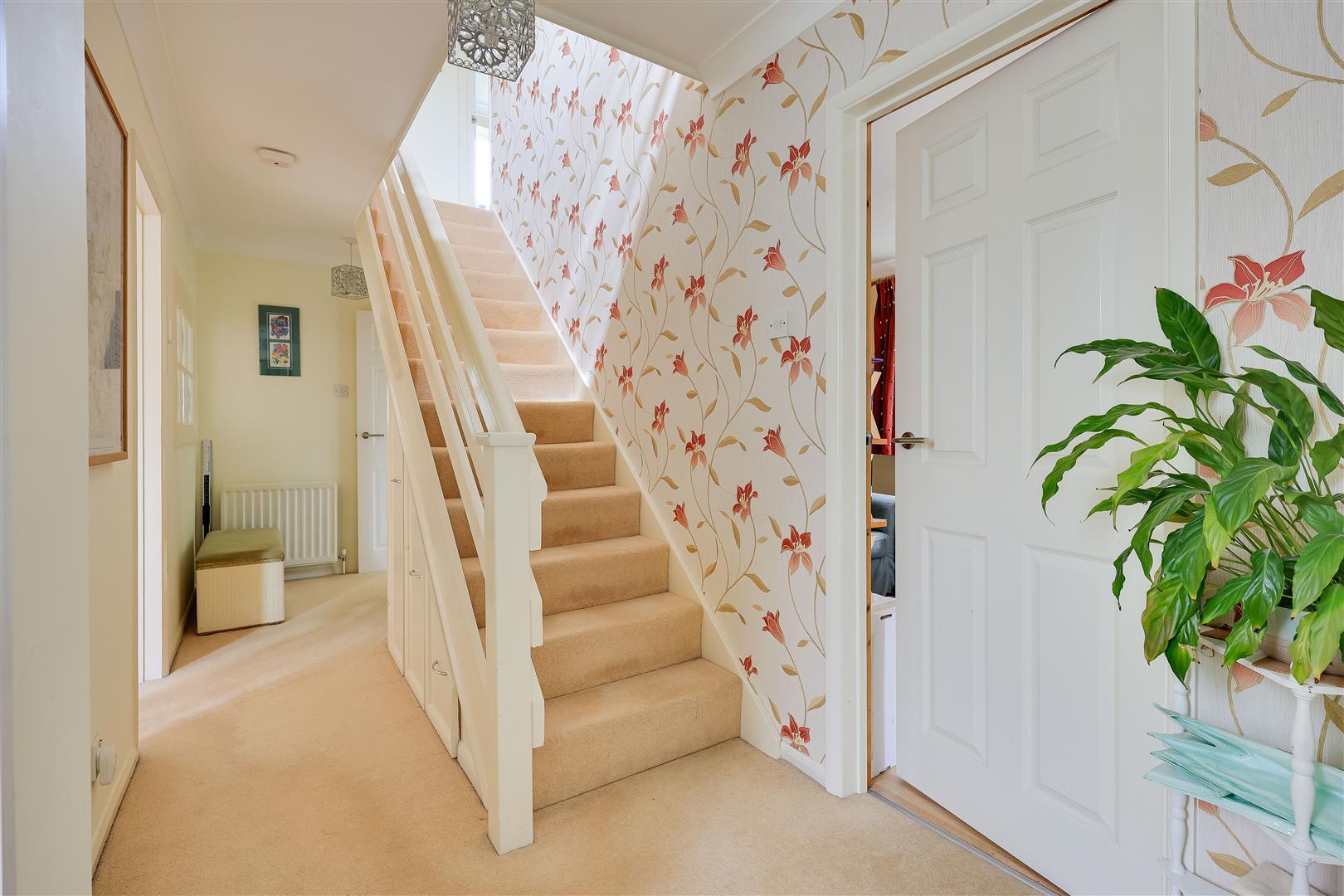 Property Image 7159cf23-b784-4464-bd3b-3e47c7faeb97