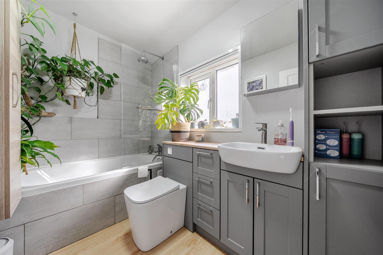 Property Image 7171c3d3-afbf-49c0-8ca6-bad788f279c5
