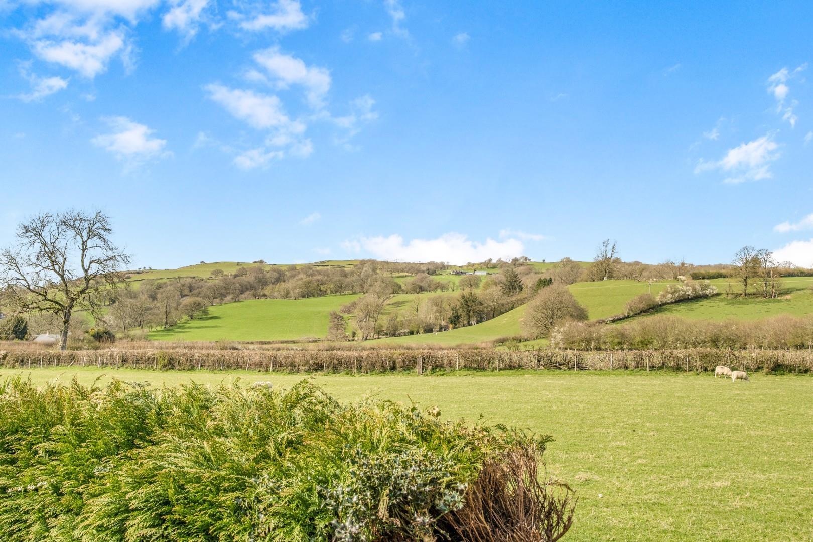 Property Image 71d0dd3e-20c6-4112-baaa-9c7e138a00b1