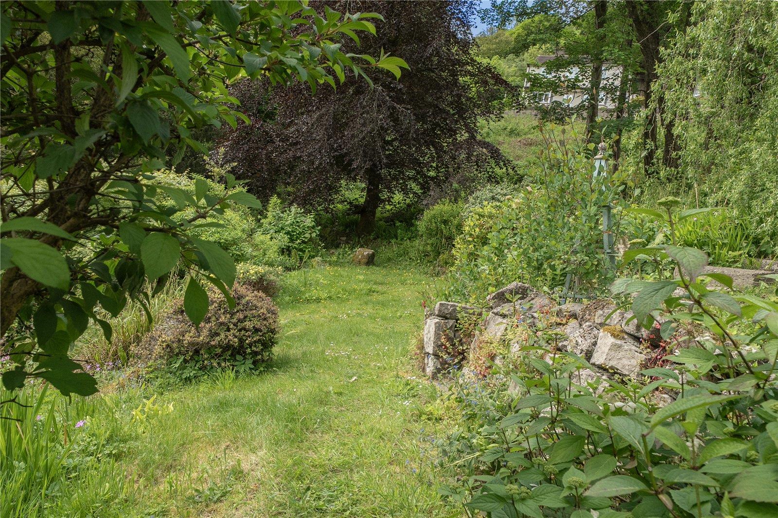 Property Image 71d93e33-f910-42bf-8b45-4e81a54d22b2