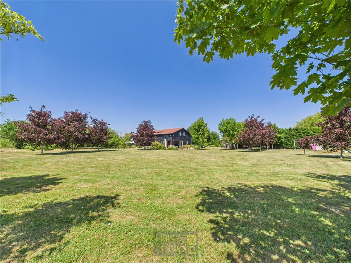 Property Image 71e28905-afdf-413b-9d15-60e6f0a03f22