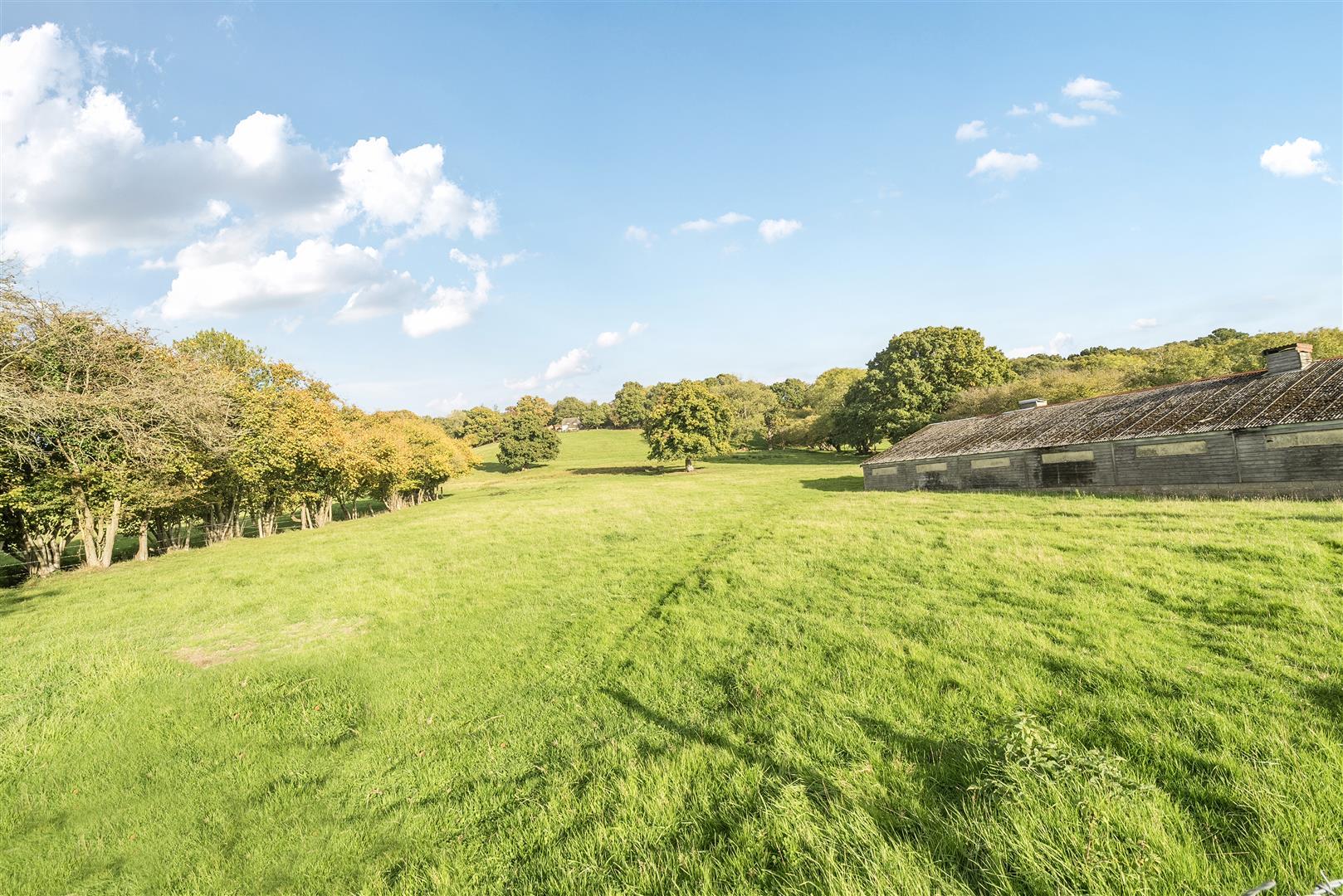 Property Image 720d0c06-c1b7-426c-95db-5950d26bb22d