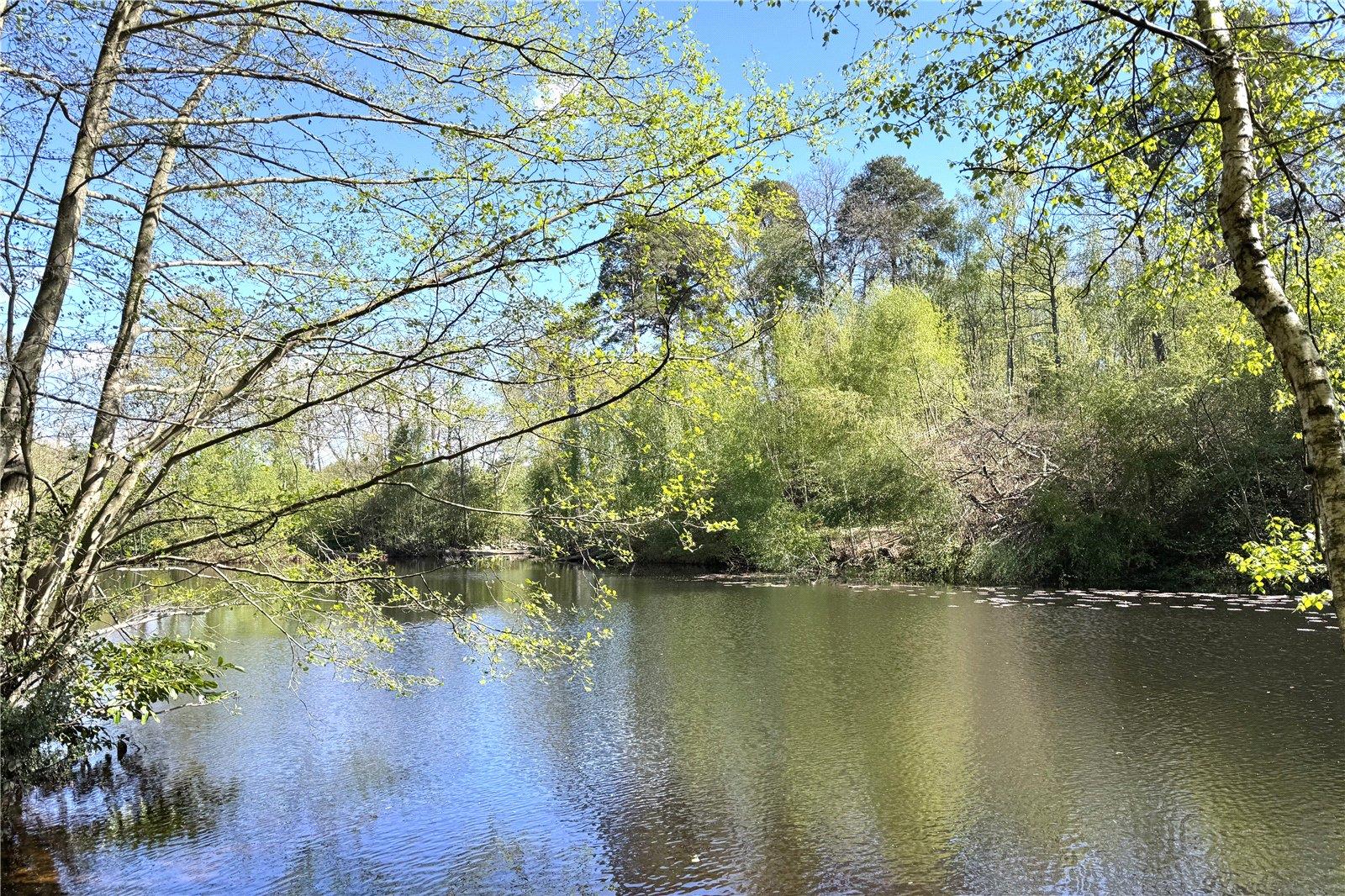 Property Image 721bebb8-359b-4a82-a7b8-38c9a6e6316d