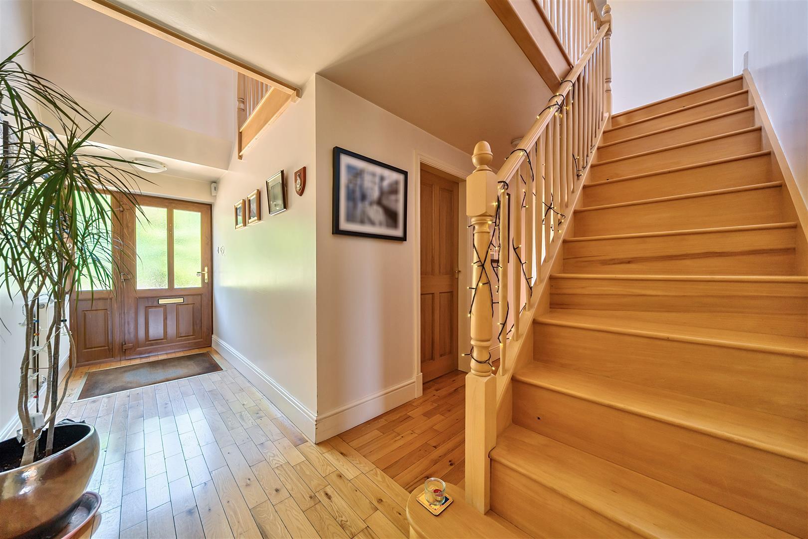 Property Image 721eac6e-559c-4bac-b9ab-6ab310e7761a