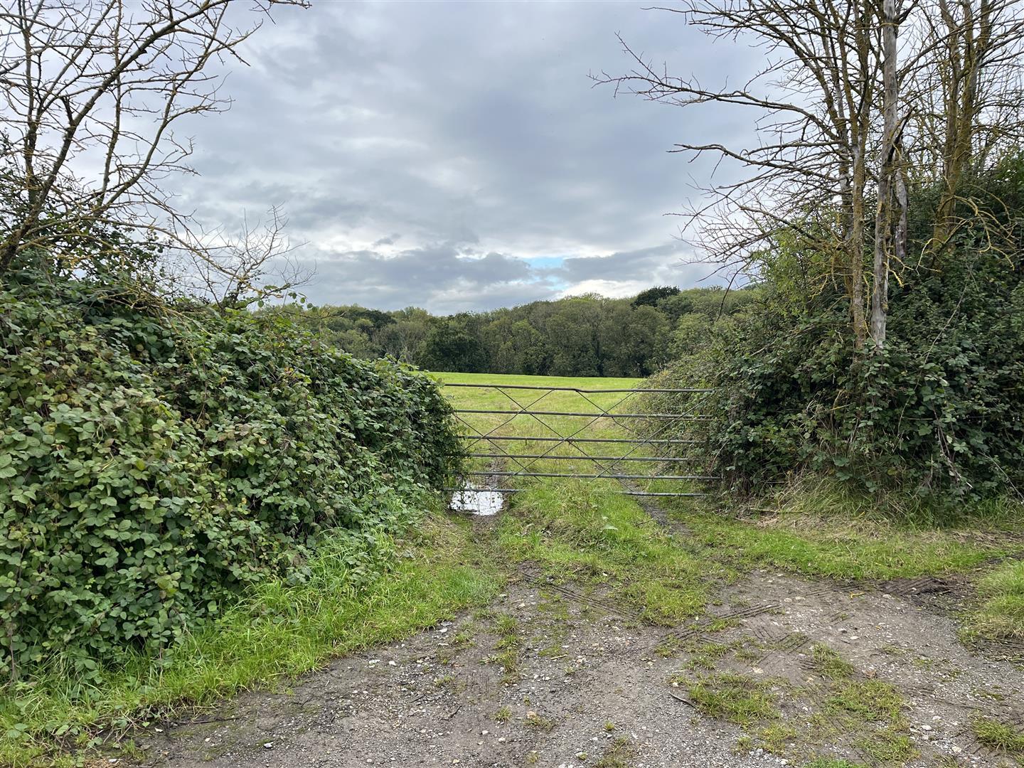 Property Image 7240cfd7-cfbb-44ce-9eec-8df140e5c464