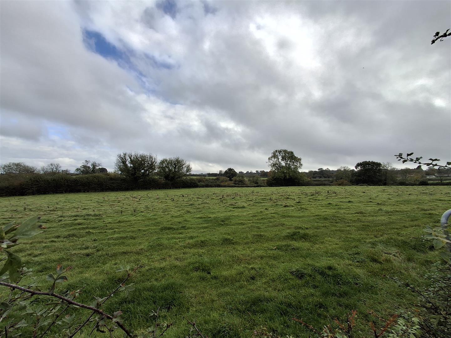Property Image 72870e14-6cda-4ac8-bdbe-fe4f2ea2817e