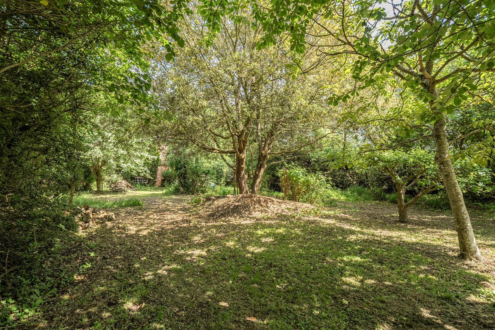 Property Image 729d3e2e-76d3-4847-9855-73880a917a4f