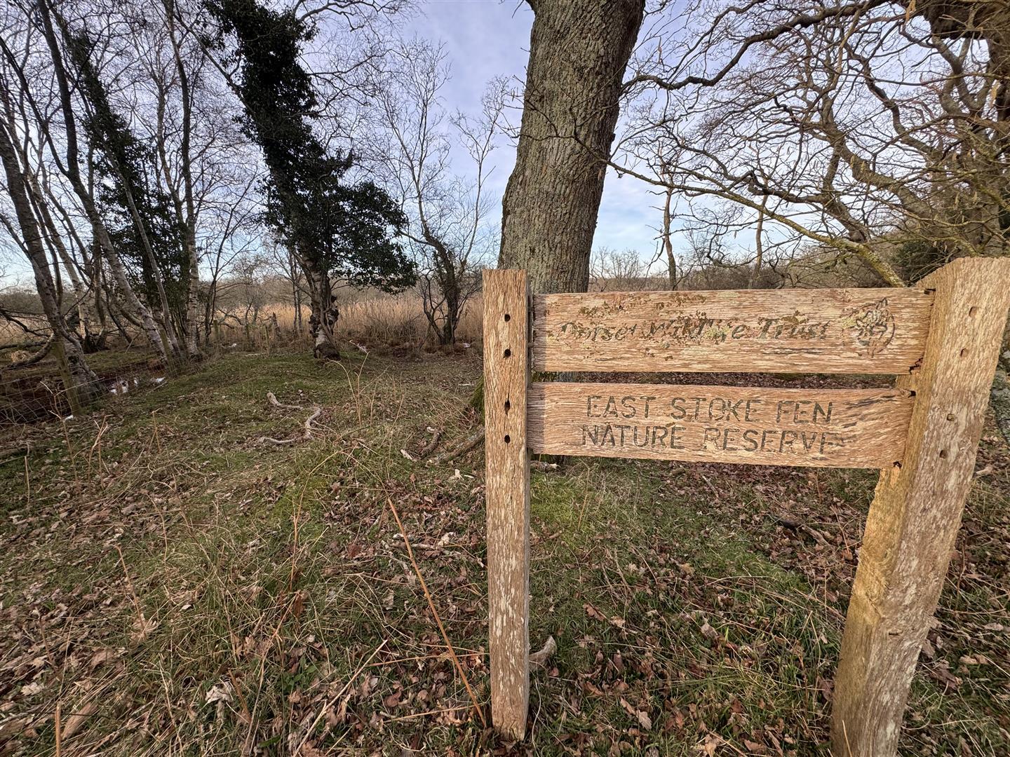 Property Image 72abf88b-1bf1-4213-b268-7f91afa478b0