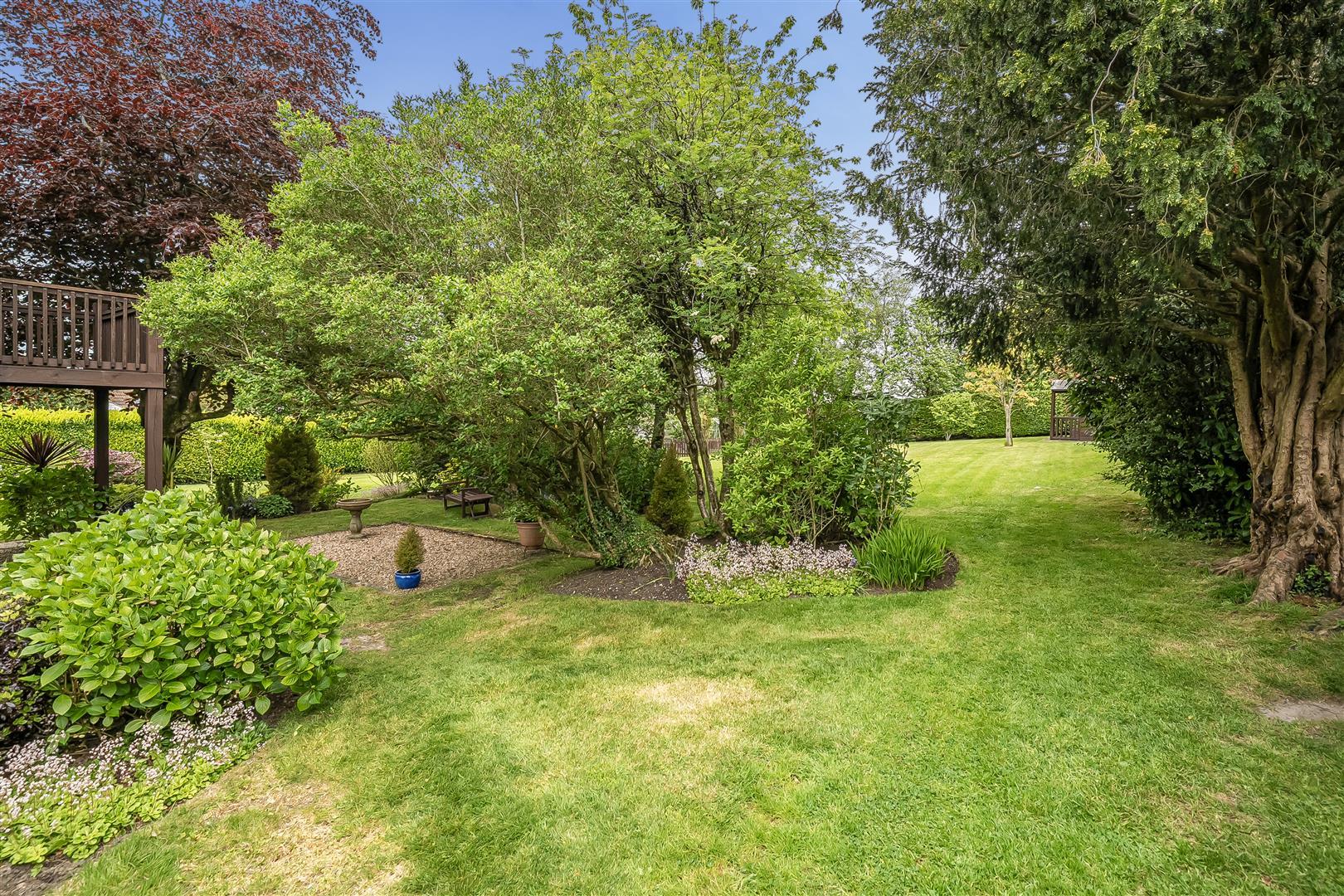 Property Image 72bd3c32-8ad5-48d5-8946-5c380dd50264