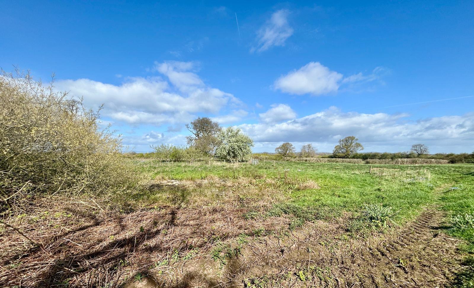 Property Image 72cb260d-d0ad-4b7f-870c-6ff2e134814e