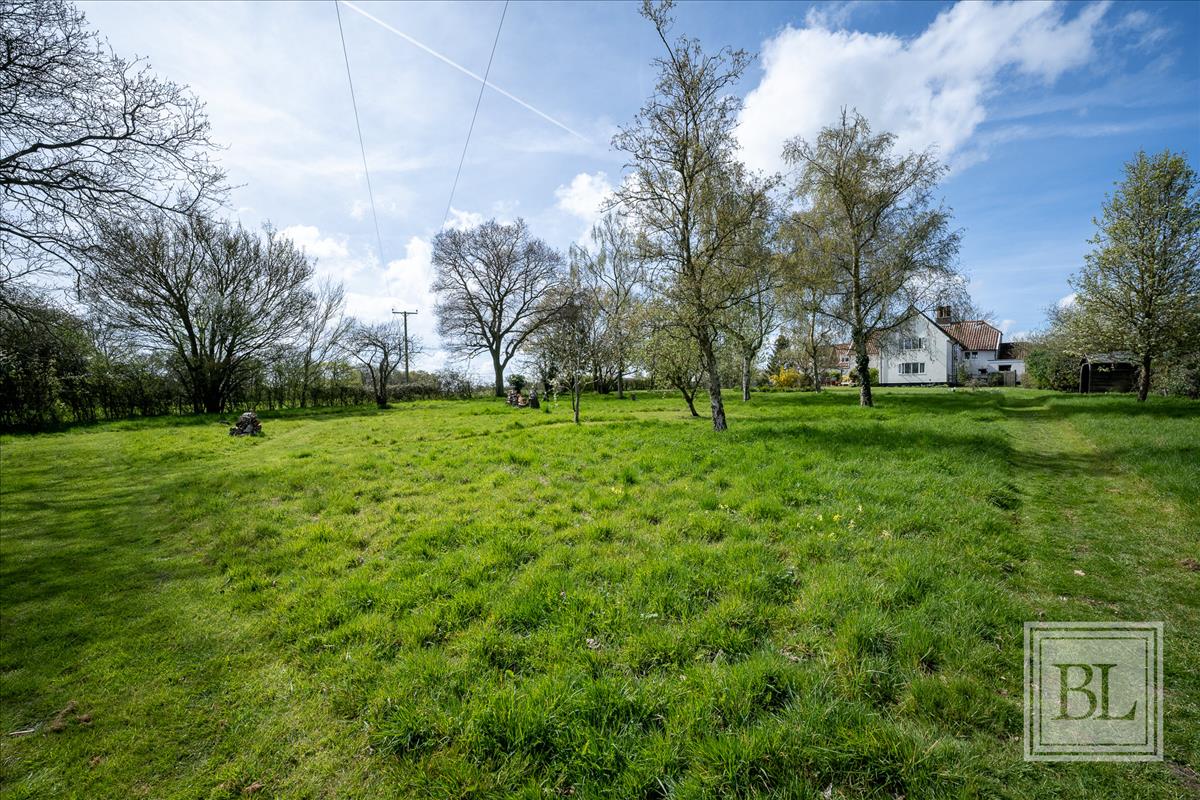 Property Image 73485ff3-485c-4925-ae33-1759da333f7f