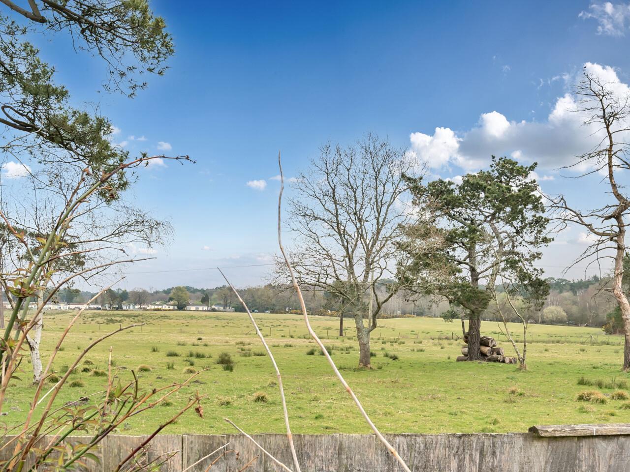 Property Image 7354a41f-8843-407e-bbff-028ea95344ed