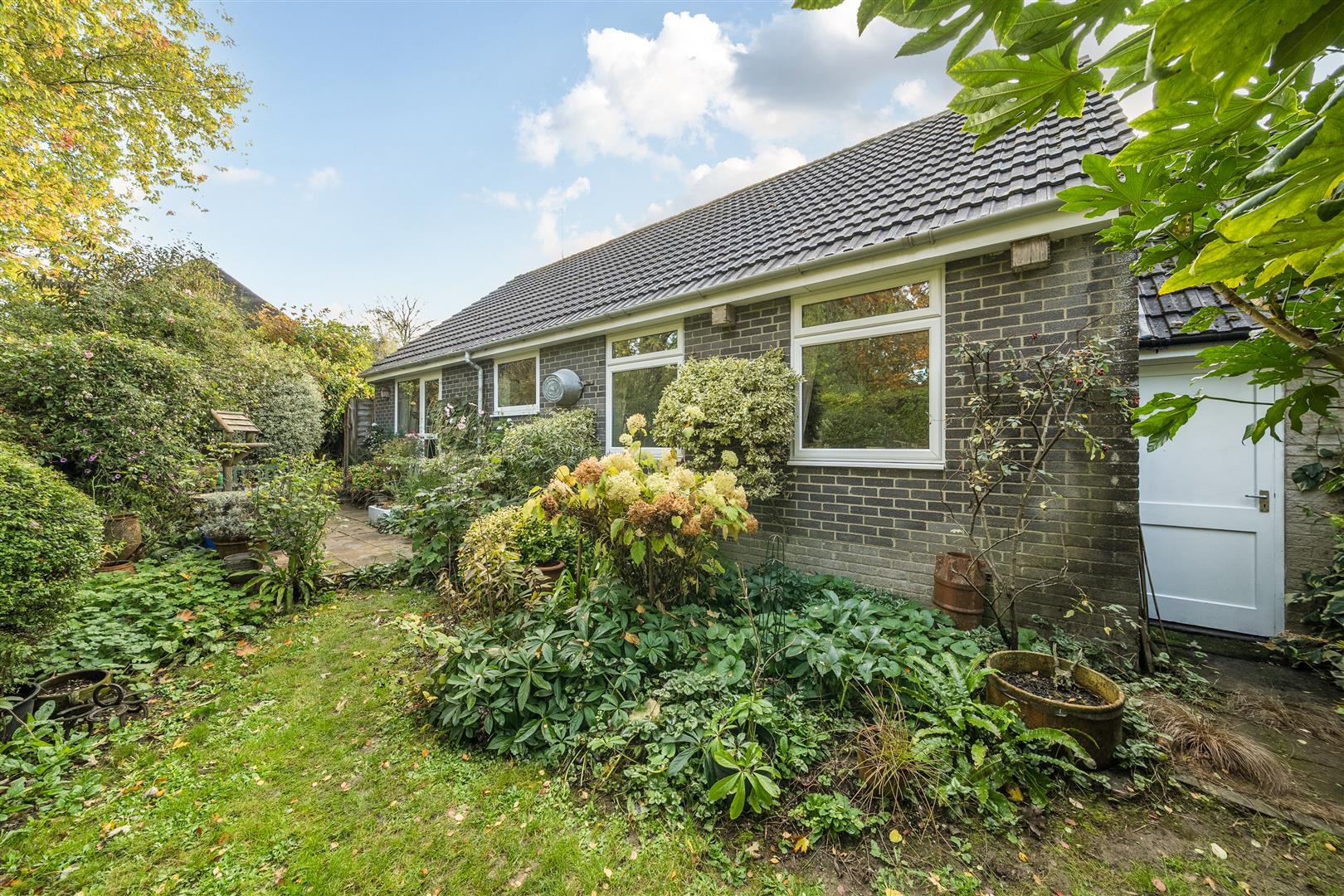 Property Image 738441a6-7c02-49ee-a672-adb63cf7ef45