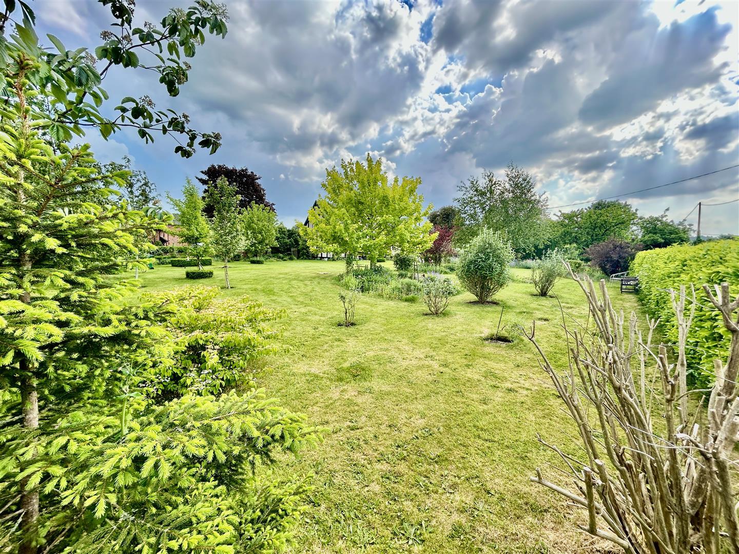 Property Image 738546aa-96a4-48b5-8265-52efe435cdbf