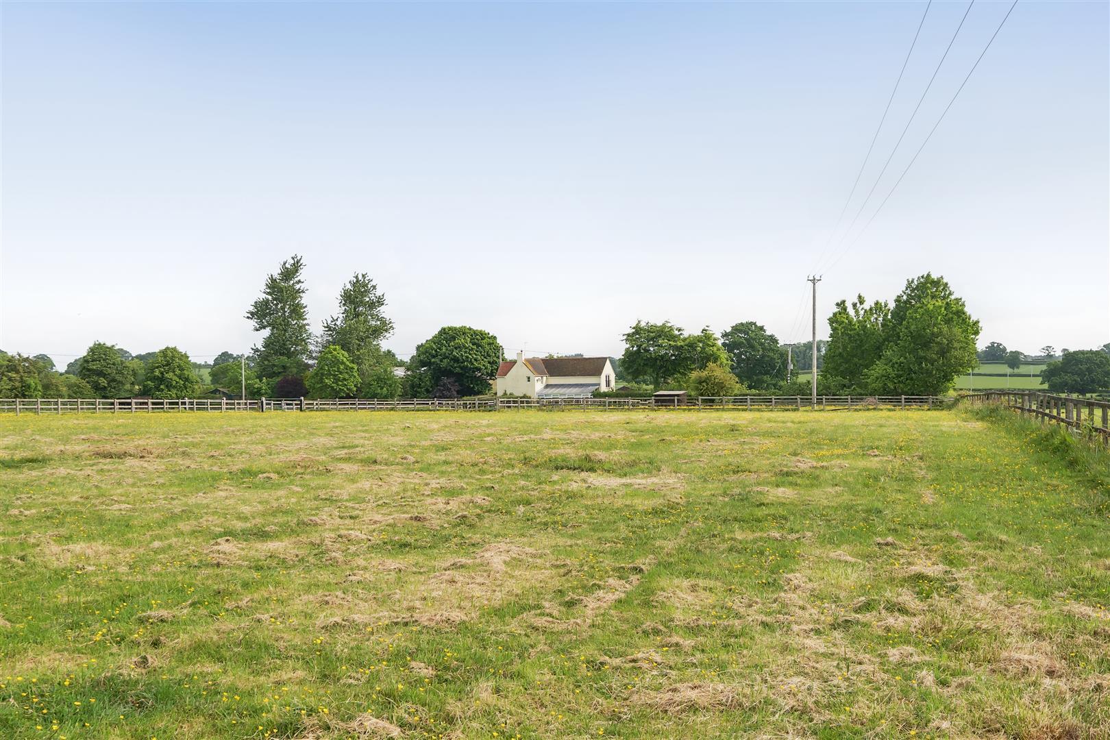 Image 22