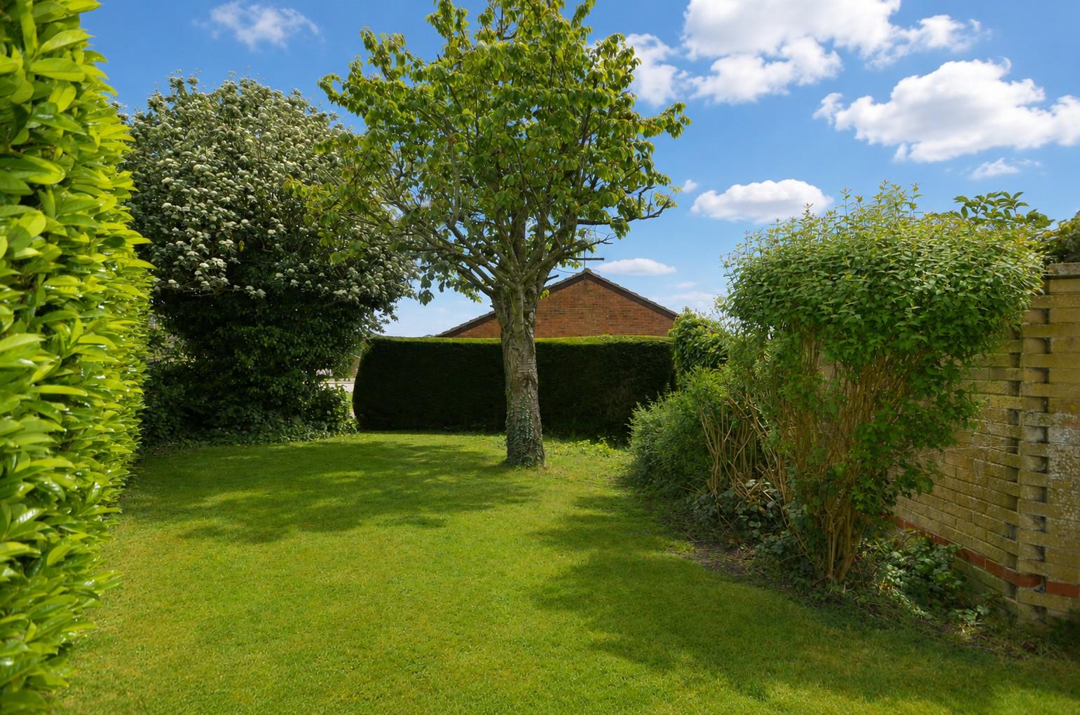 Property Image 73a8b555-39db-448e-a165-476425713f23