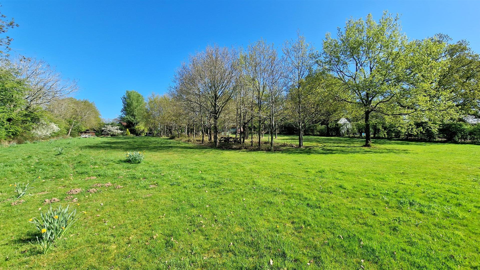 Property Image 73d3e12b-c75e-479c-a32e-05805333b20a