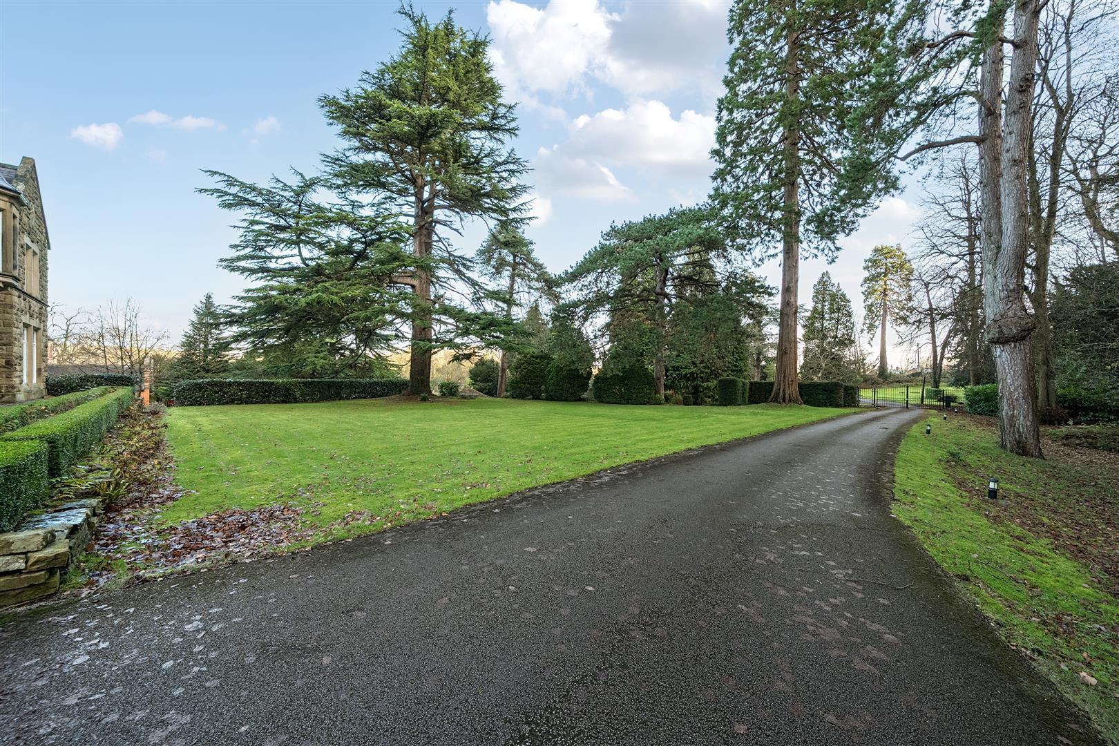 Property Image 73e2a7fa-5cd4-482a-9987-ca2511b0c3bc