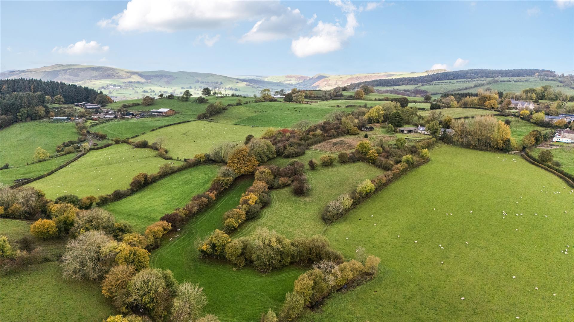 Property Image 73f7c850-9af7-4a8f-88cc-e6e4713bbc58