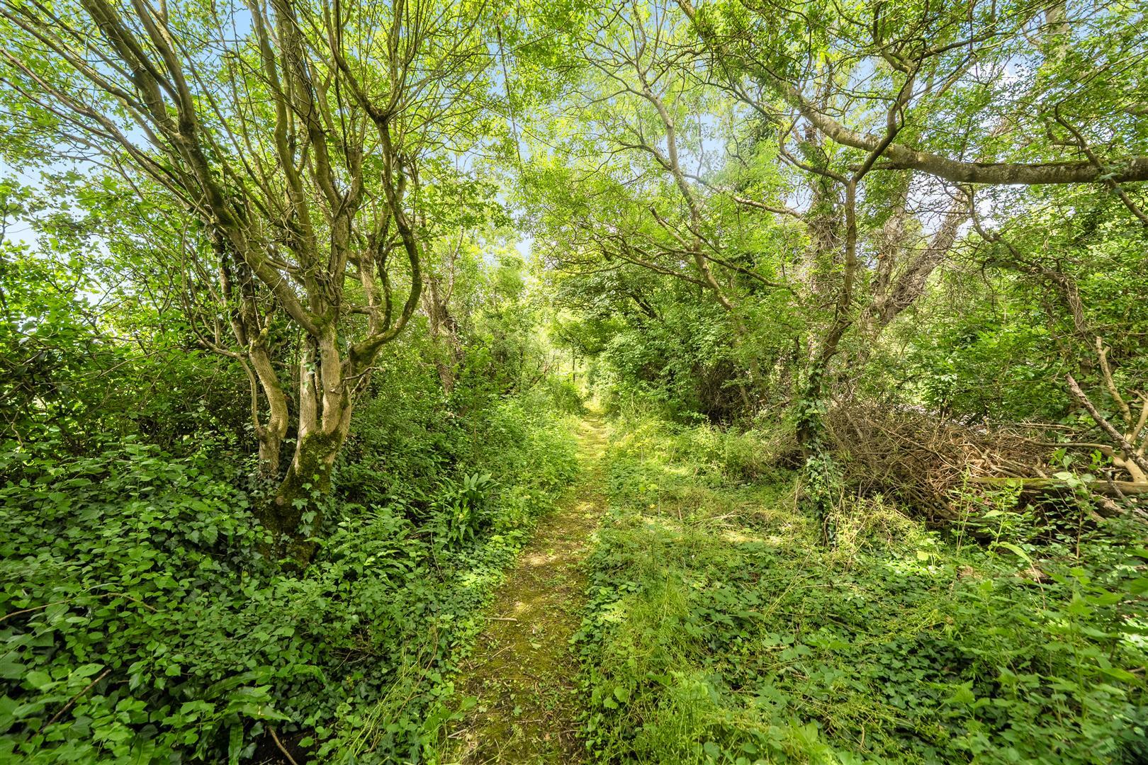 Property Image 74043bd8-ae66-463d-8472-56d6d053538d