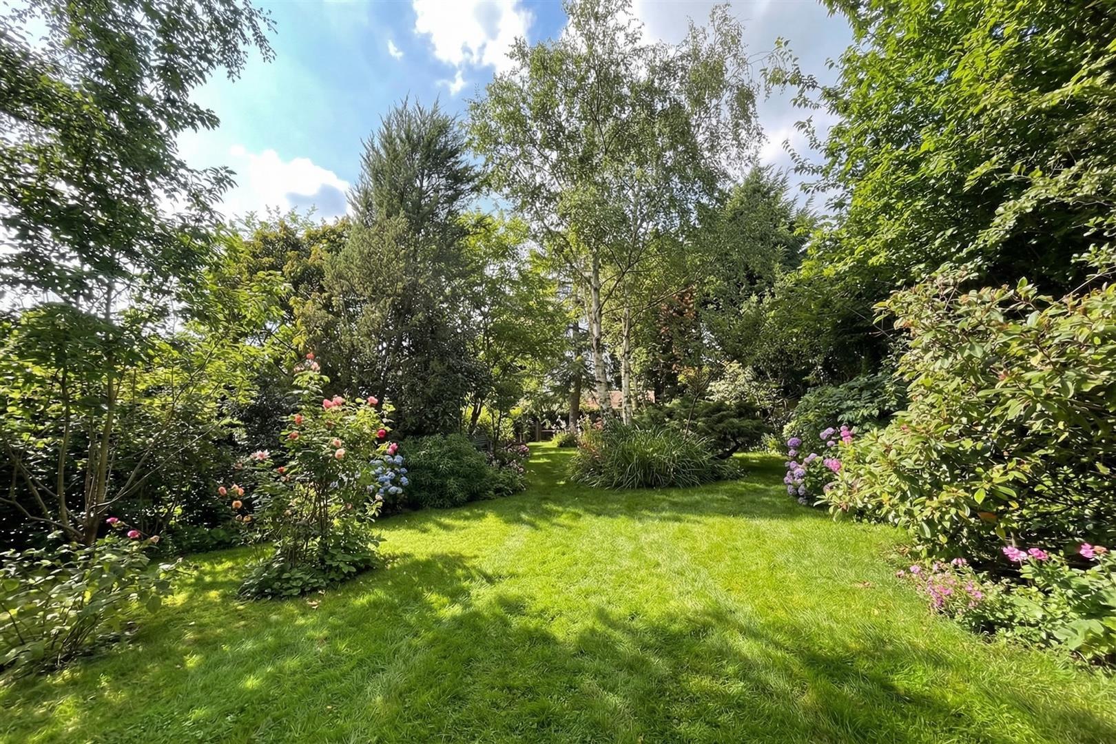 Property Image 743bfbb4-c900-446c-a668-4cf1cdf582bd