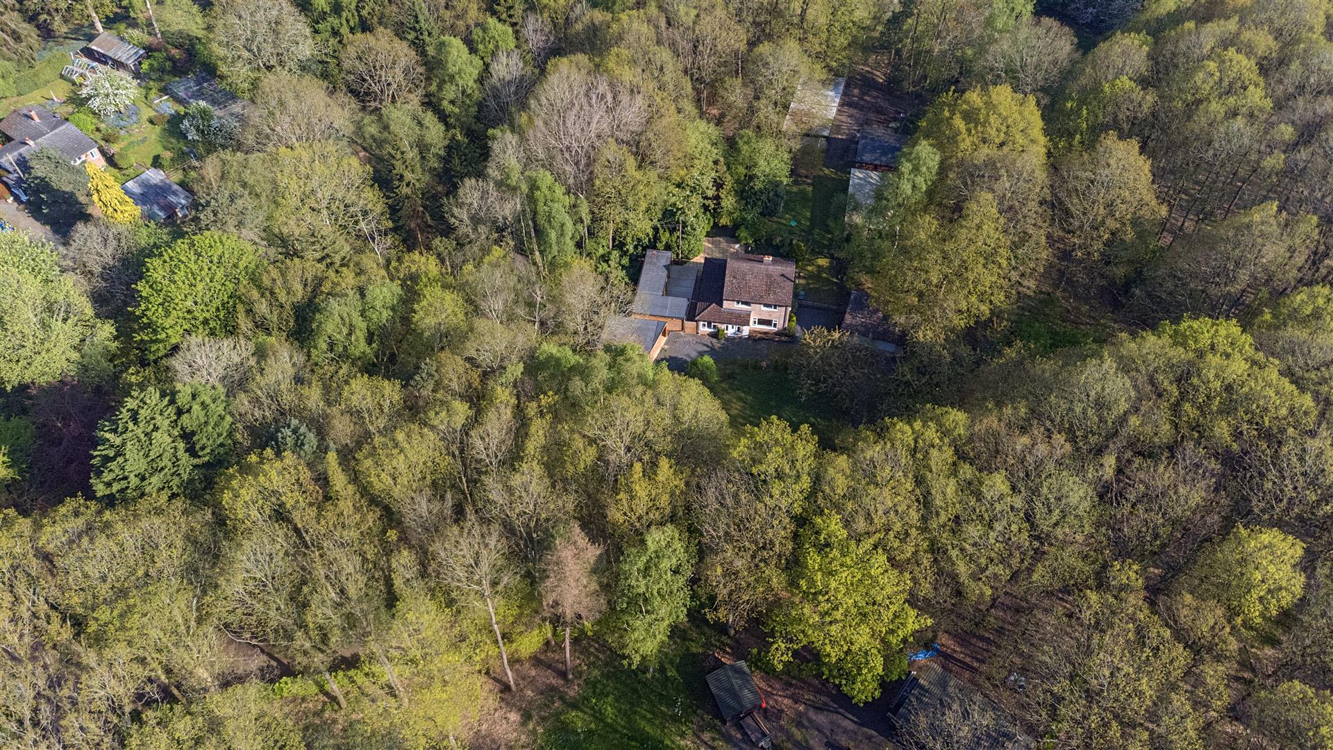 Property Image 744f9515-8307-4d01-af6a-a9bd5e37bf6d