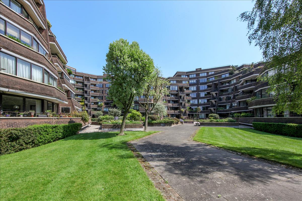 Property Image 7451e634-dcee-4a37-bde6-8c9efd29cbe5